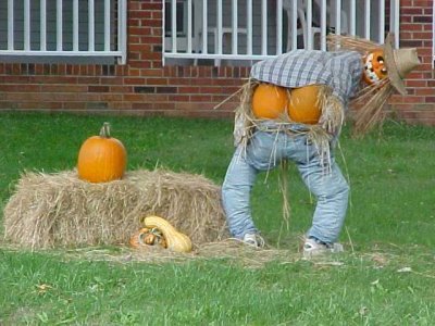 Randy Miller's album, Cover Photos