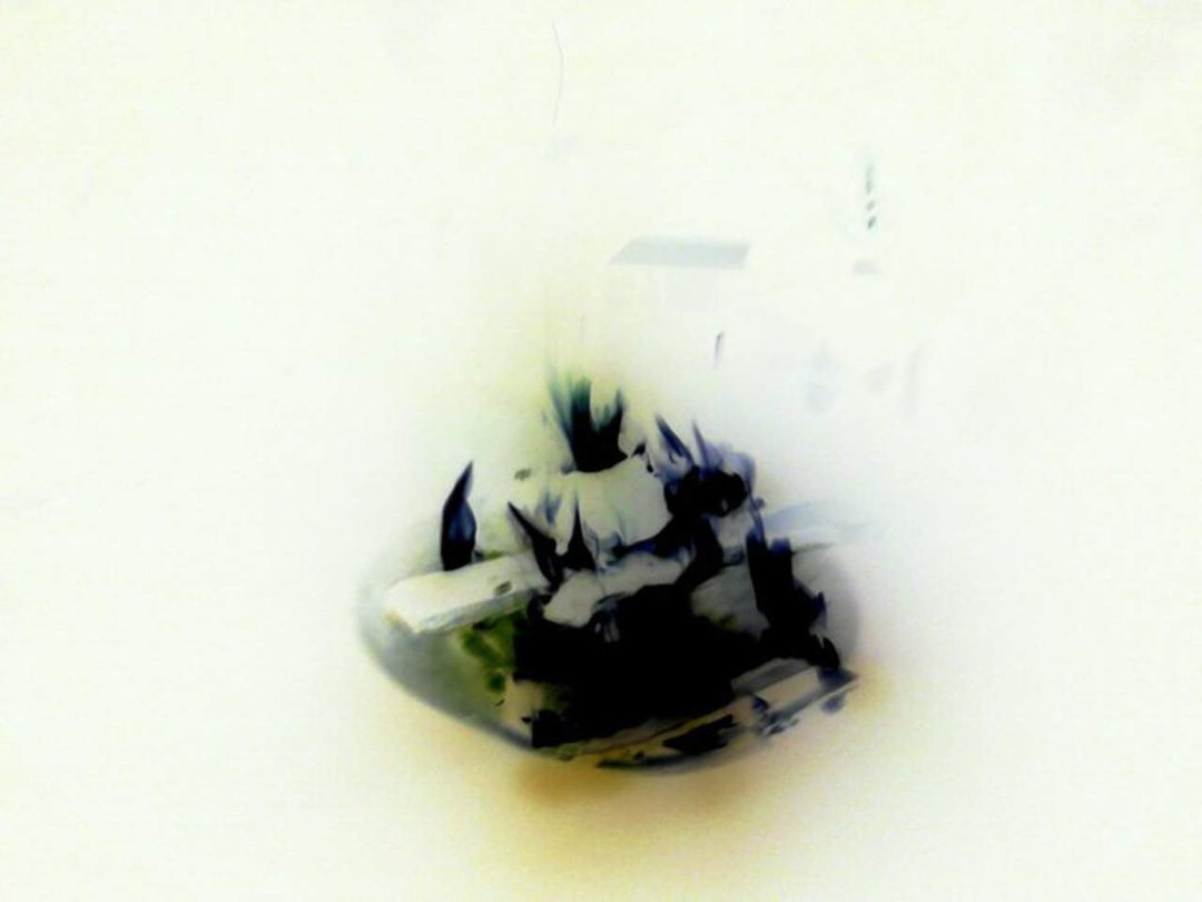 Brandon Antillon's album, Mobile Uploads