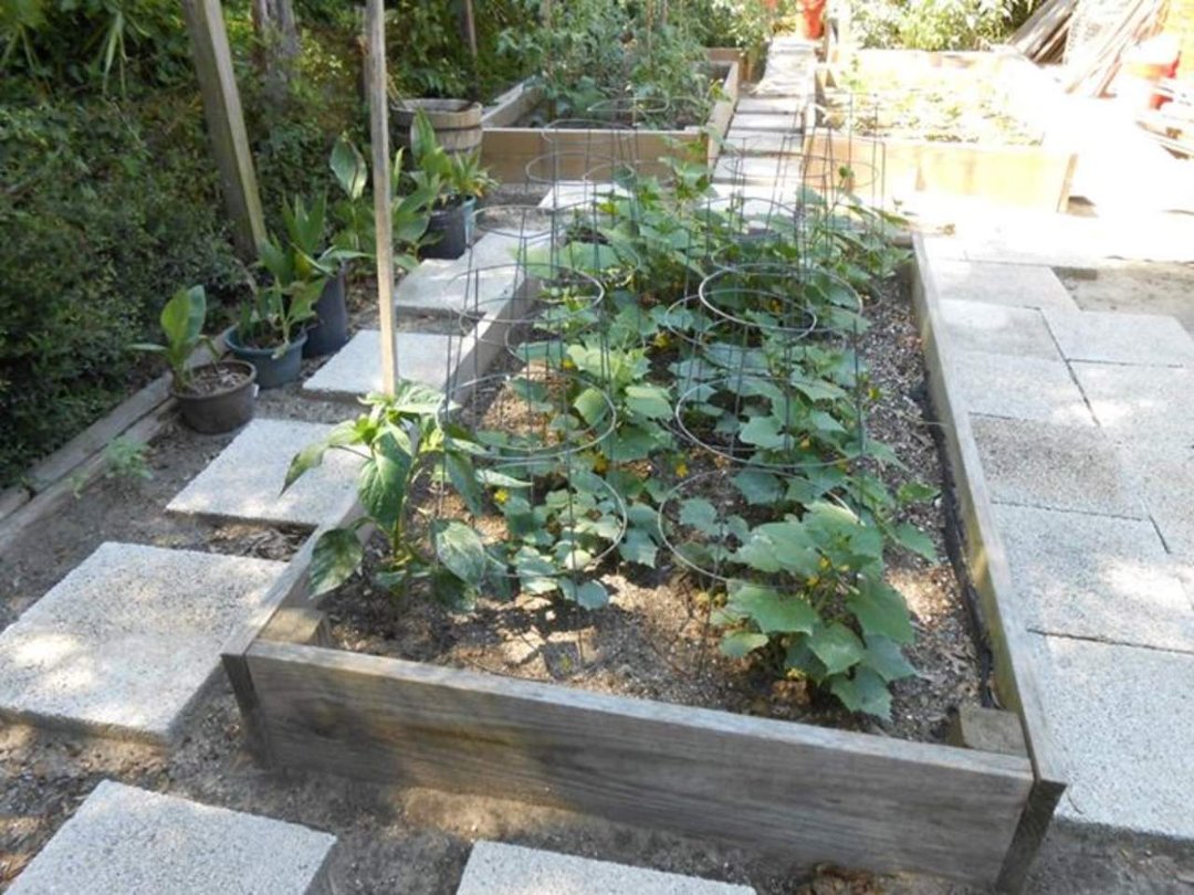 James (Jimmy) Johnson's album, SPRING GARDEN MAY 2012