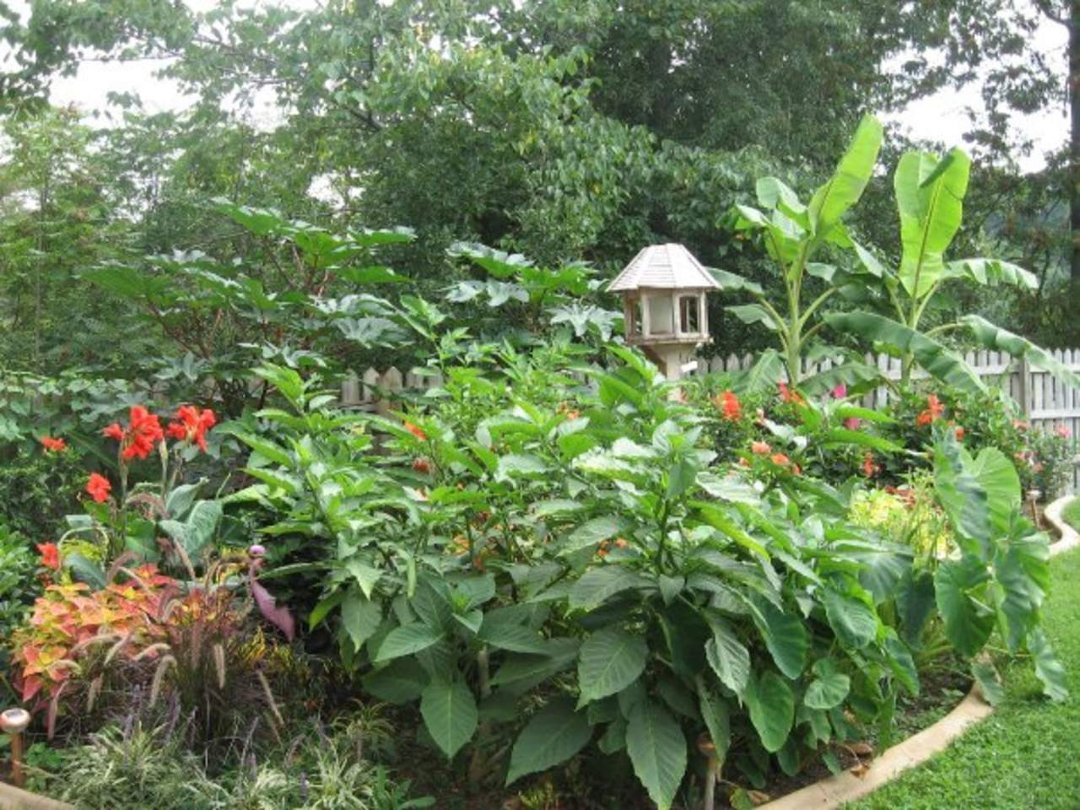 Sharon Moore's album, Missing My Garden