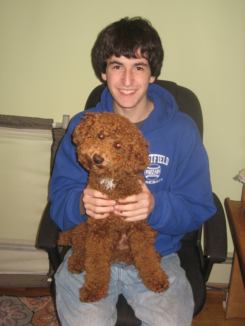 Howard Osterman's album, Profile Pictures