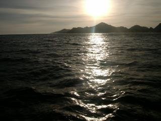 Jerry Johnson's album, Cabo Summer 2008