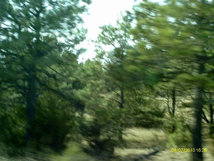 Douglas Heller's album, SpringBreak 2010 - Day 3