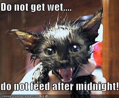Gary Chance's album, Timeline Photos