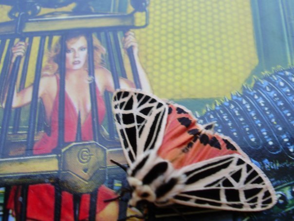 Craig Batley's album, art samples