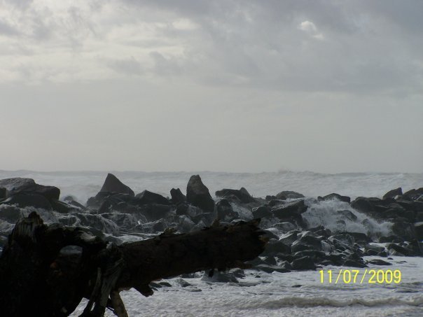 Sharon Lopez's album, Ocean Shores