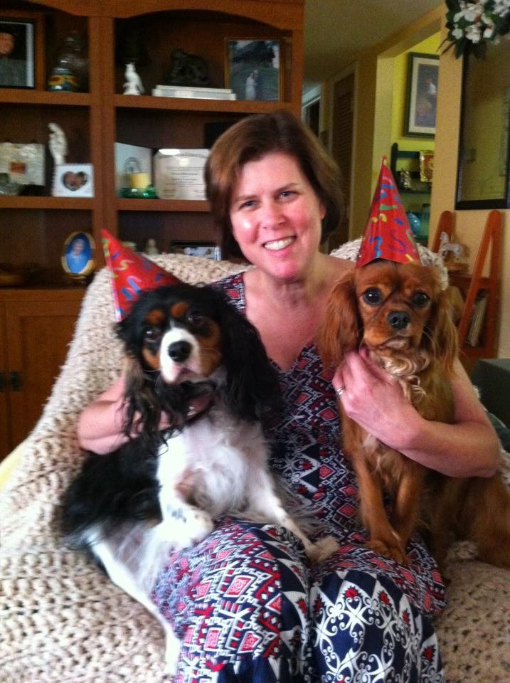 Lisa Hughes' album, Mobile Uploads