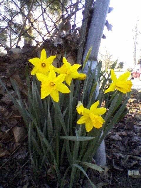 David Hemphill's album, Timeline Photos