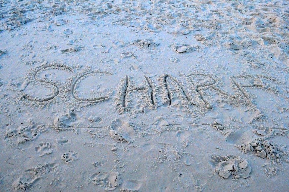 David Scharf's album, Cover Photos