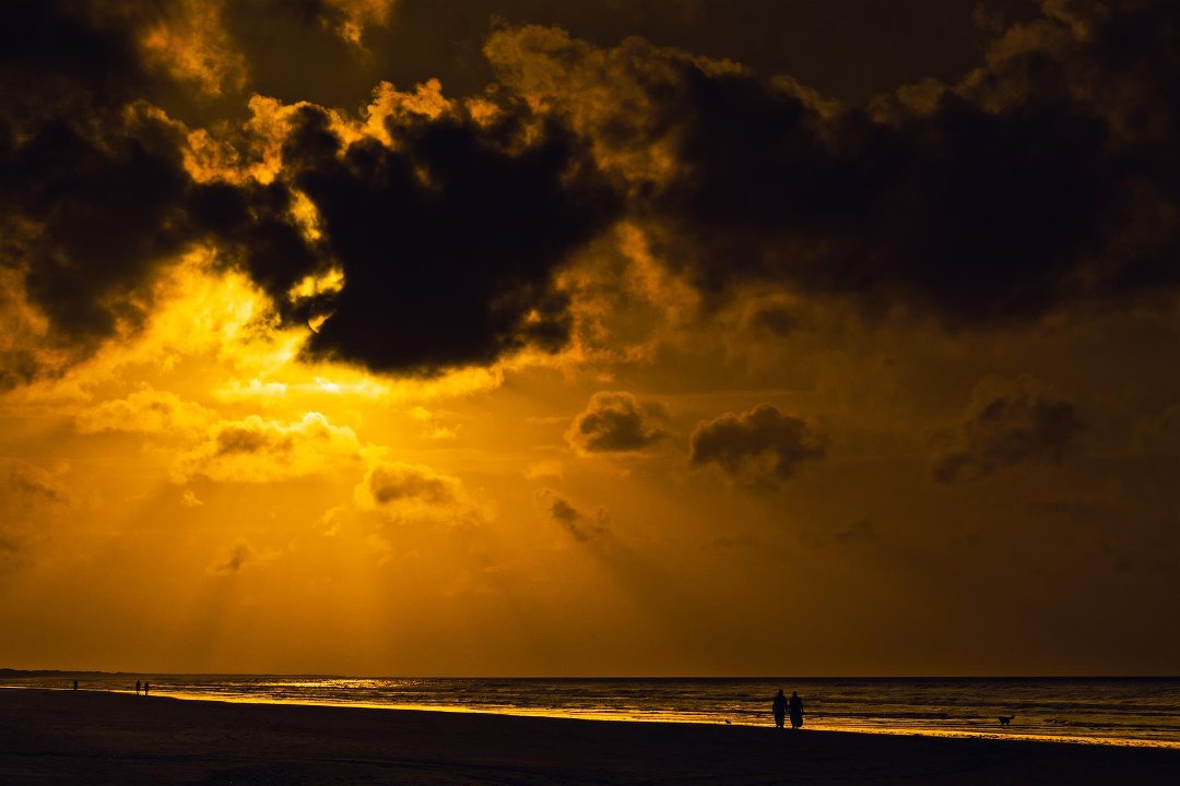 David Bourhill's album, Cover Photos