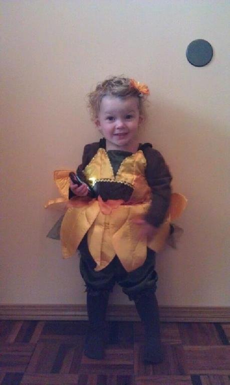 Justin Hess' album, Timeline Photos
