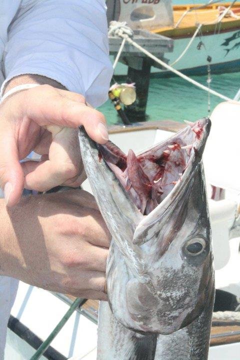 John King's album, Aruba