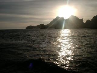 Jerry Johnson's album, Cabo Summer 2008