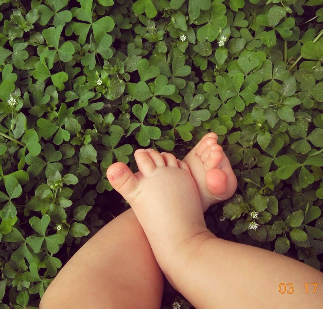 Michelle Noble's album, PARTIES AND OTHERS