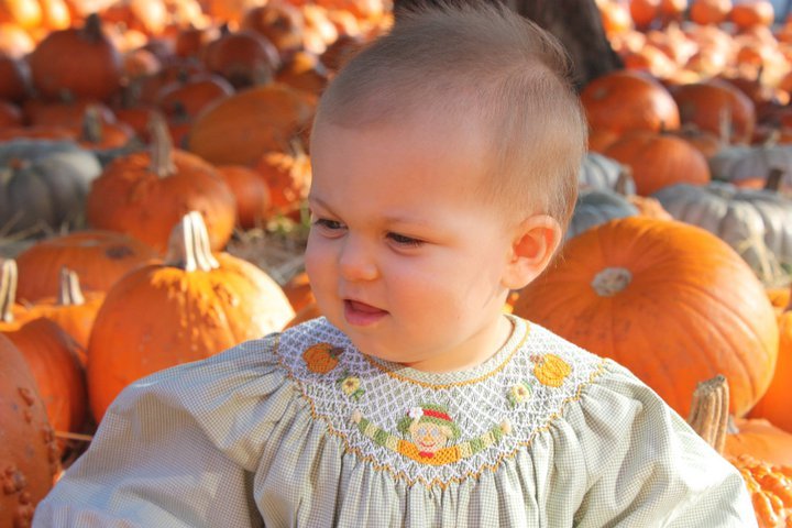 Davis Collins' album, Collins at the Pumpkin Patch