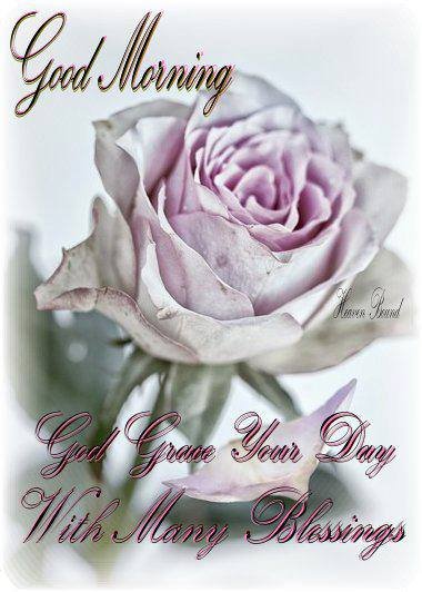 Myrtle Brooks' album, Timeline Photos