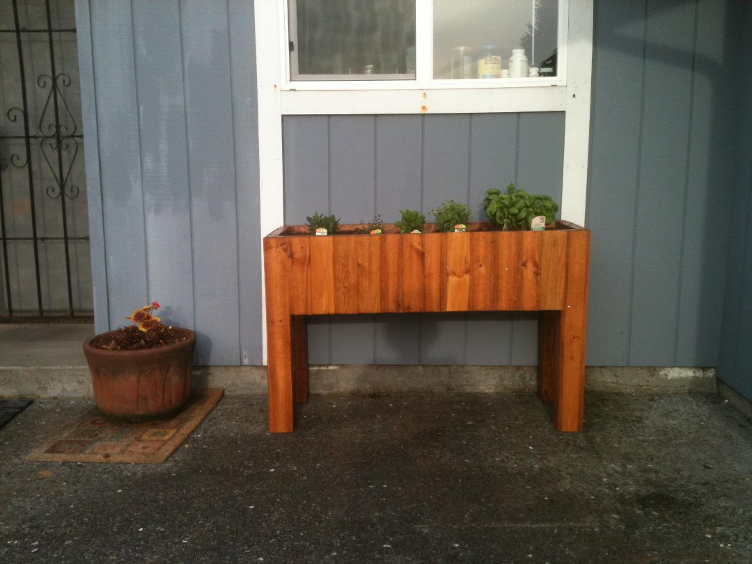 Susan Harter's album, Mobile Uploads