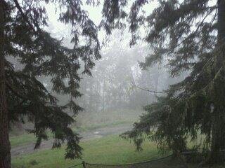 arden post's album, LG Phone Photos