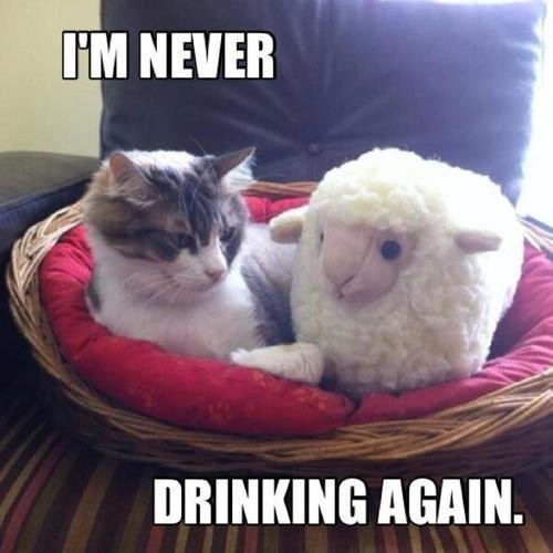 Dave Roughley's album, Timeline Photos