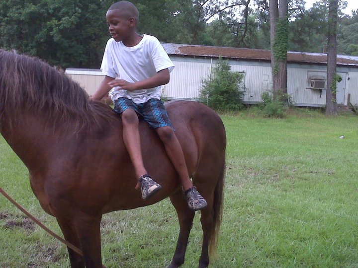 Kevin Webb's album, My Sons