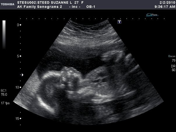 Ian Steed's album, my son to be