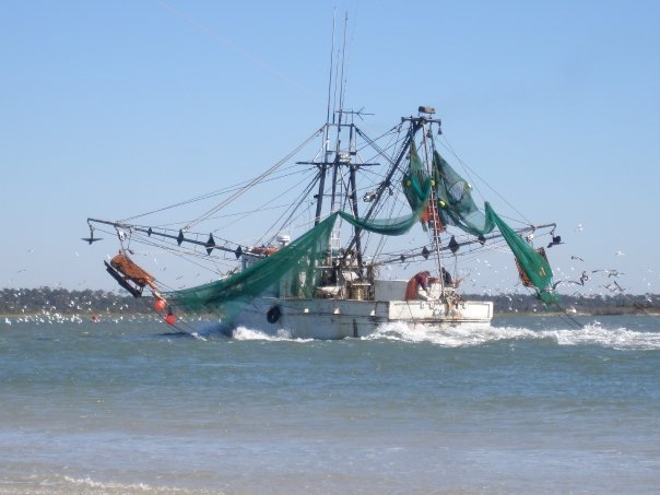 Jerry Hill's album, Topsail Island, NC