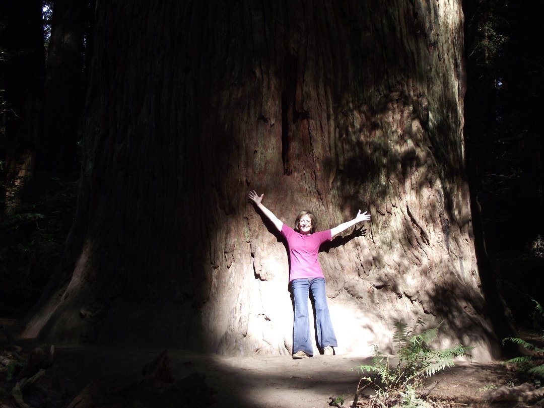 Jeanene Jensen's album, Cover Photos