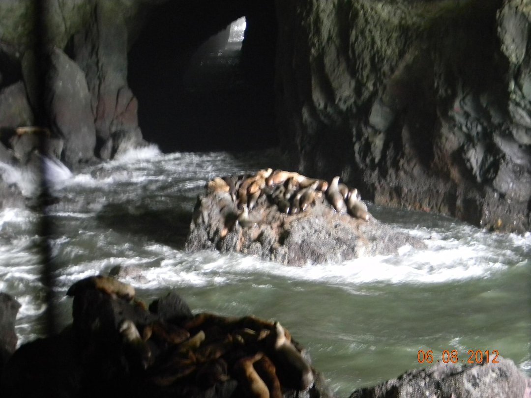 Alberta Chase's album, trip to pacific coast