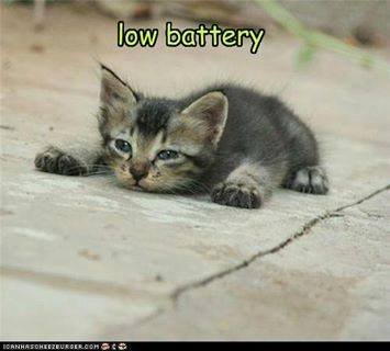 Loretta Cluf's album, Timeline Photos