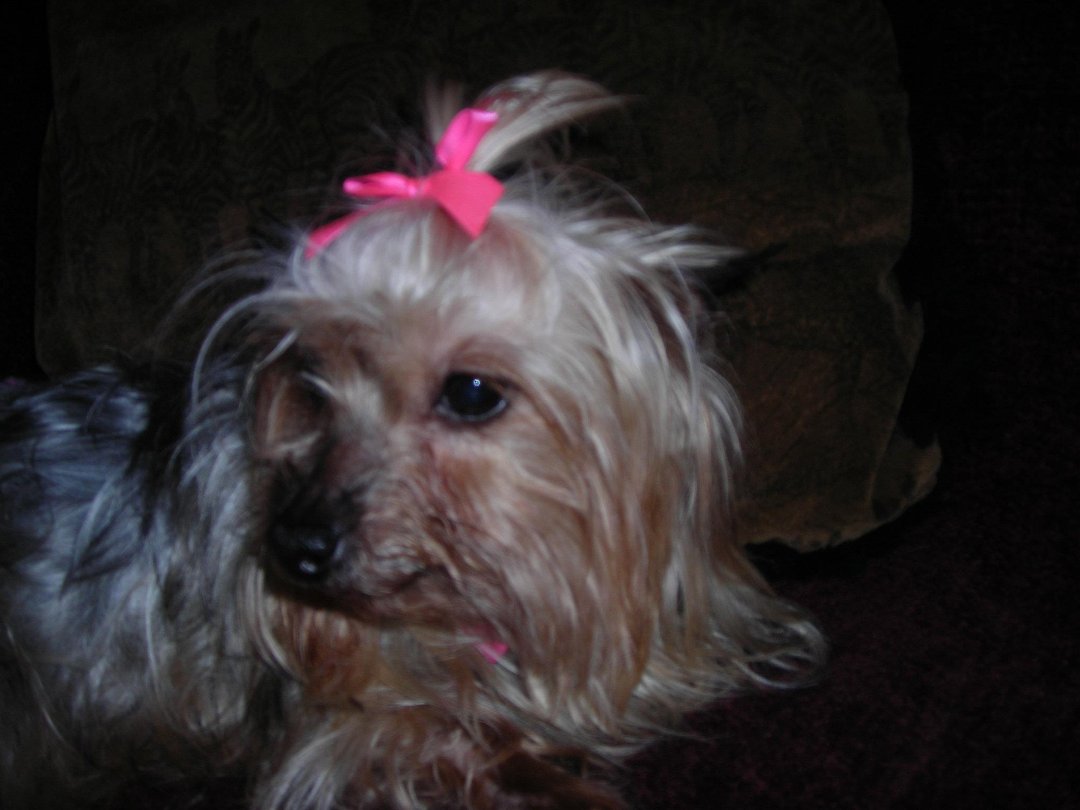 Connie Countryman's album, Sophie's 1st day home