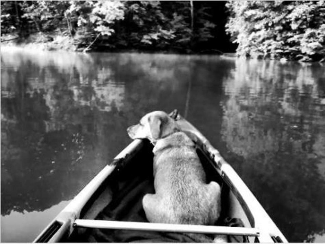 Will Williams' album, Cover Photos