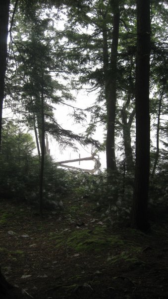 NANCY Roberts' album, Alger island Camping