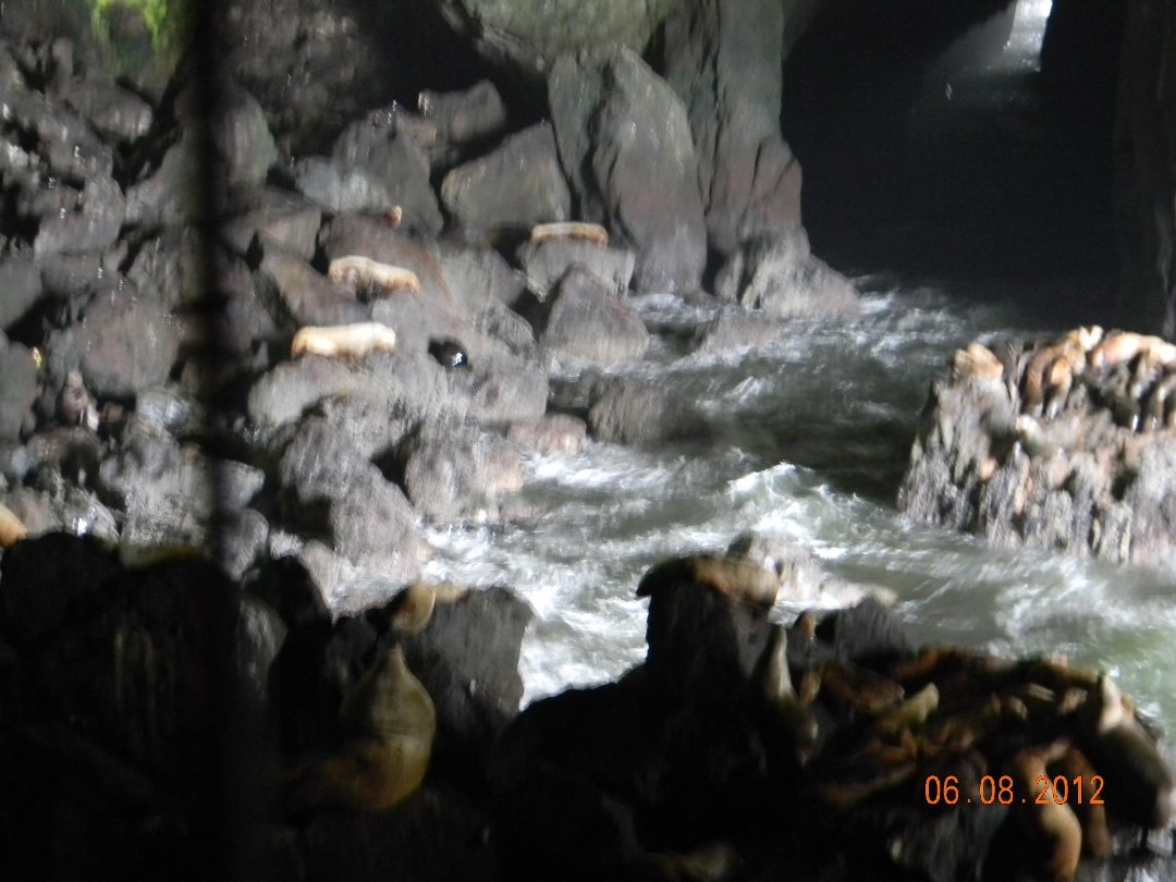 Alberta Chase's album, trip to pacific coast