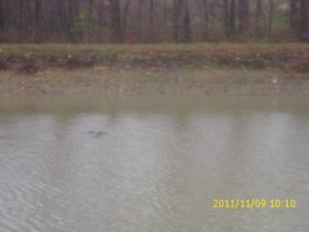 Charles Koperstynski's album, November 12, 2011