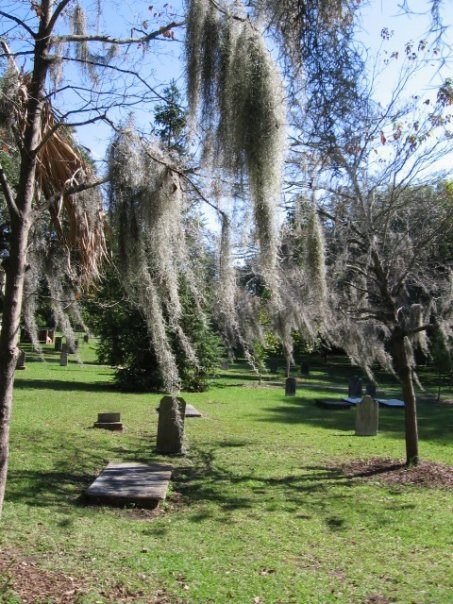 Susan Copple's album, Savannah/Charleston
