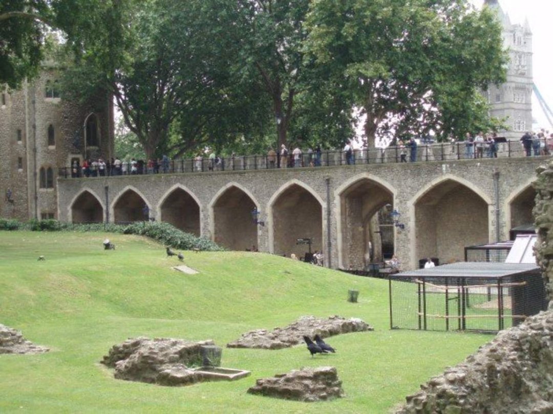 Morgan Renner's album, London part 4