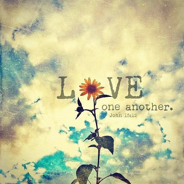Catherine Salender's album, Cover Photos