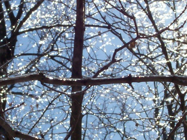 Mark Cagle's album, 2010 winter