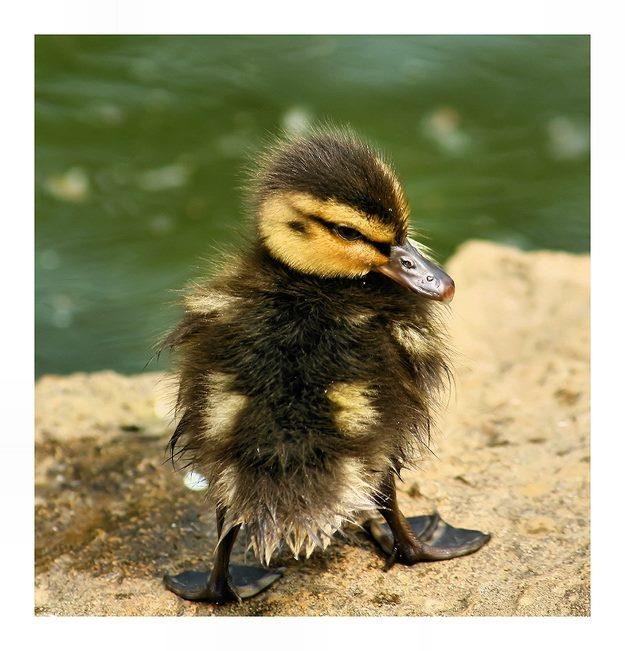 Terri Wagner's album, Timeline Photos