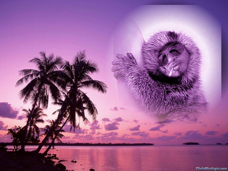 michael terrell's album, Cover Photos