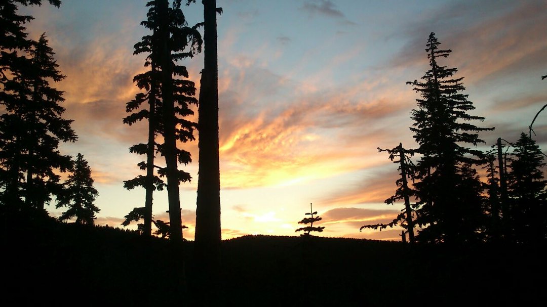 Carol Burke's album, Cover Photos