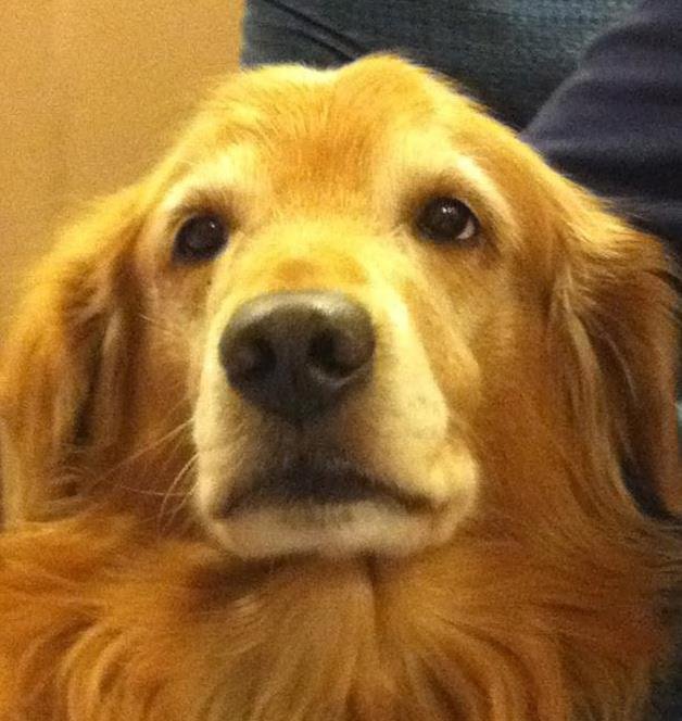 Beth Bottenfield's album, Profile Pictures