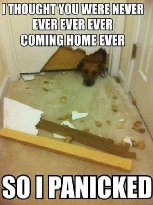 Dave Roughley's album, Timeline Photos