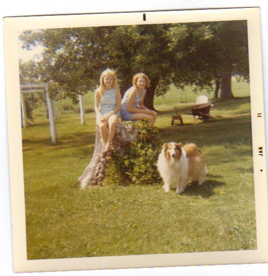 Pam Fischer-Ryszkiewicz's album, Cover Photos