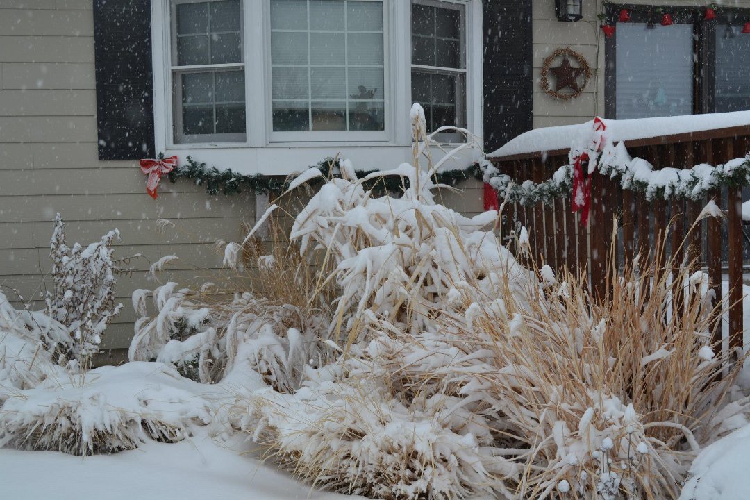 Chris Carroll's album, New Years Eve Snow 2012