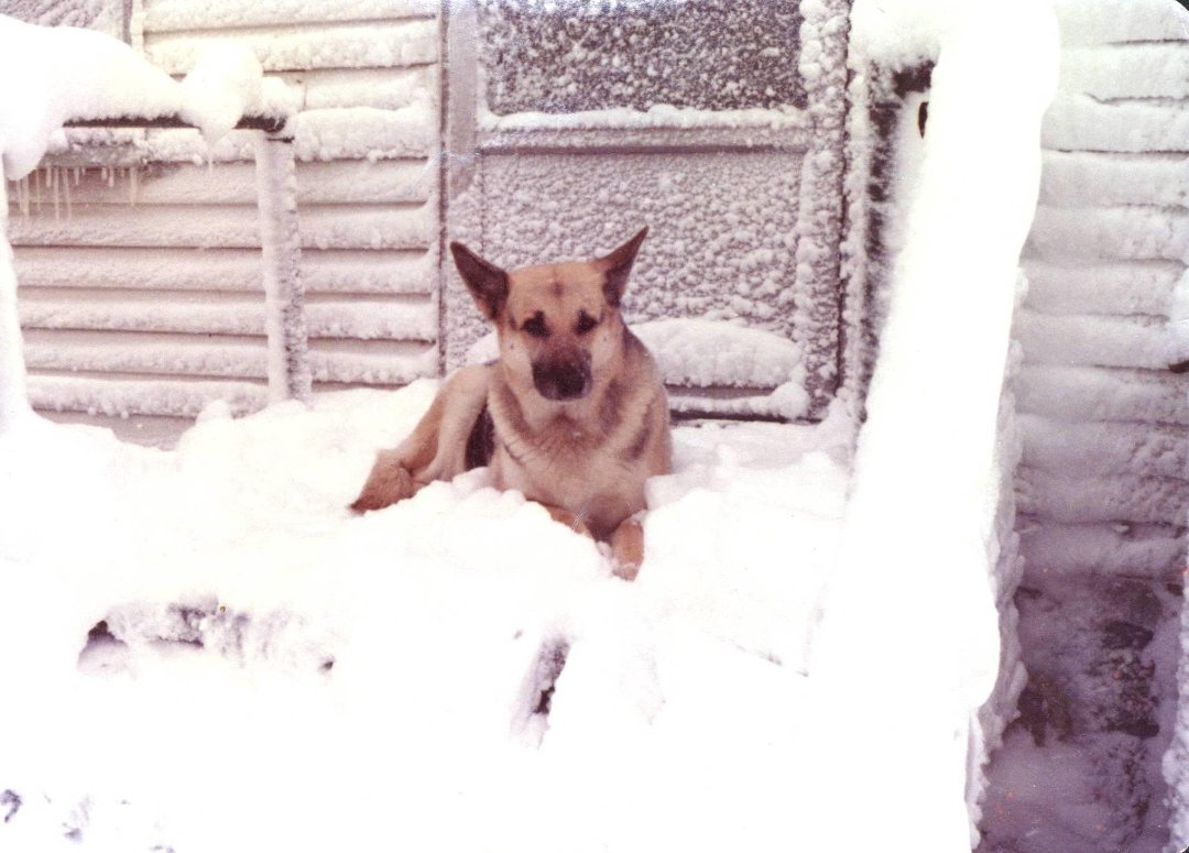 Bill Fong's album, Cover Photos