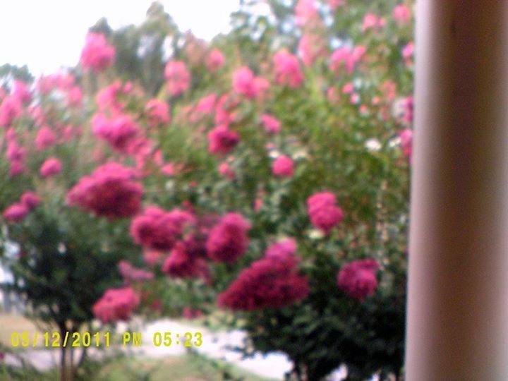 michael taylor's album, Cover Photos