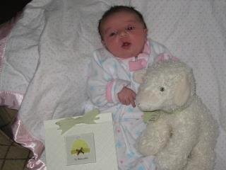 Michael Monaghan's album, Laila Marie