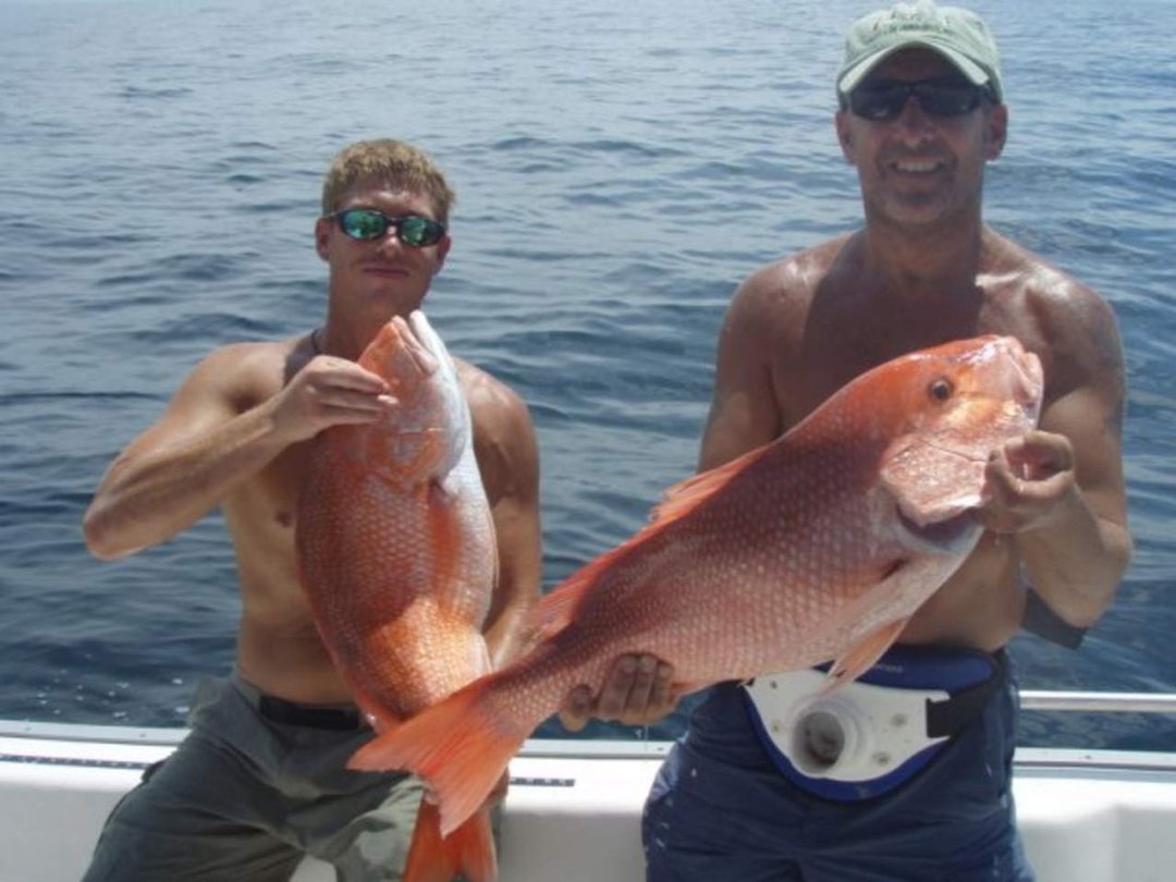 Steve Cohen's album, Profile Pictures