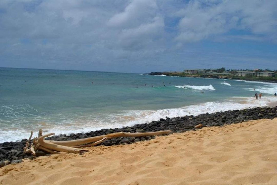 Veronica Luckey's album, Junior Year/Hawaii 2012